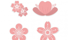 梅花漫画,傲骨寒香，绘尽人生百态